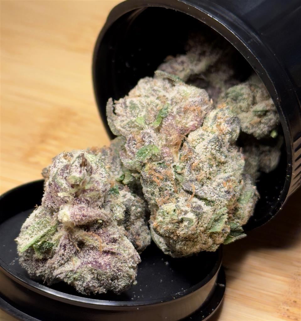 Blueberry Gelato