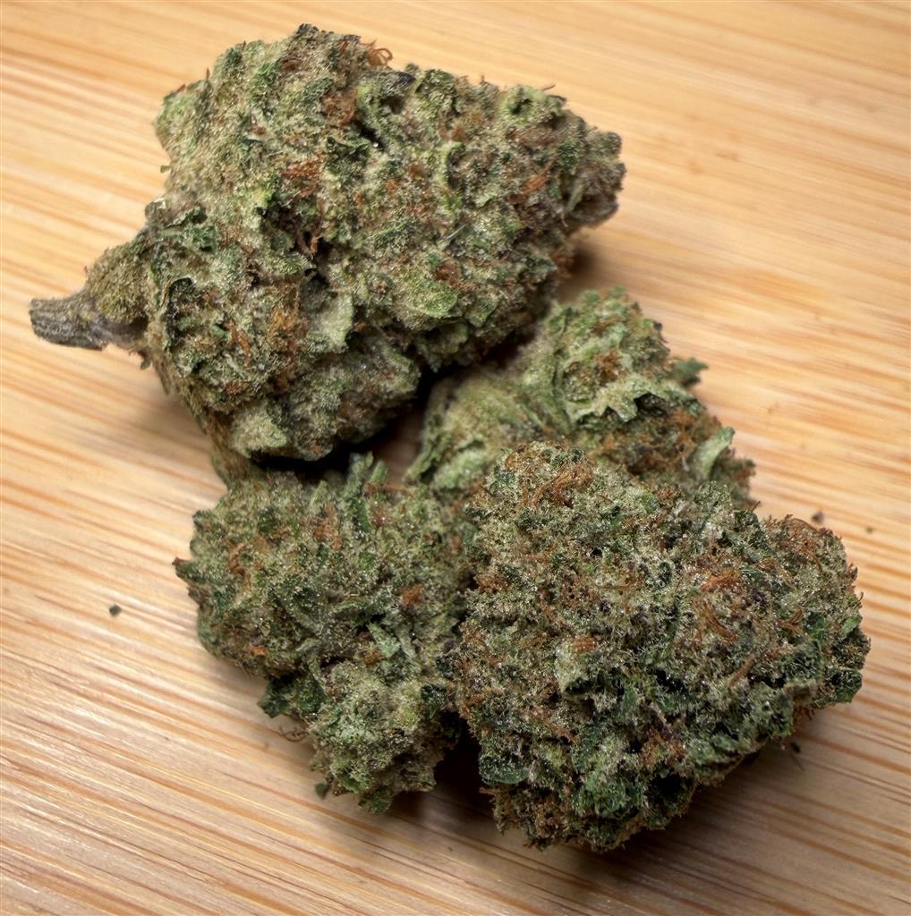 Tropical Rainbow Belt