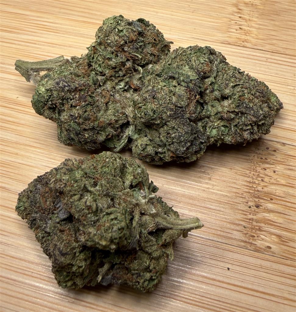G#41