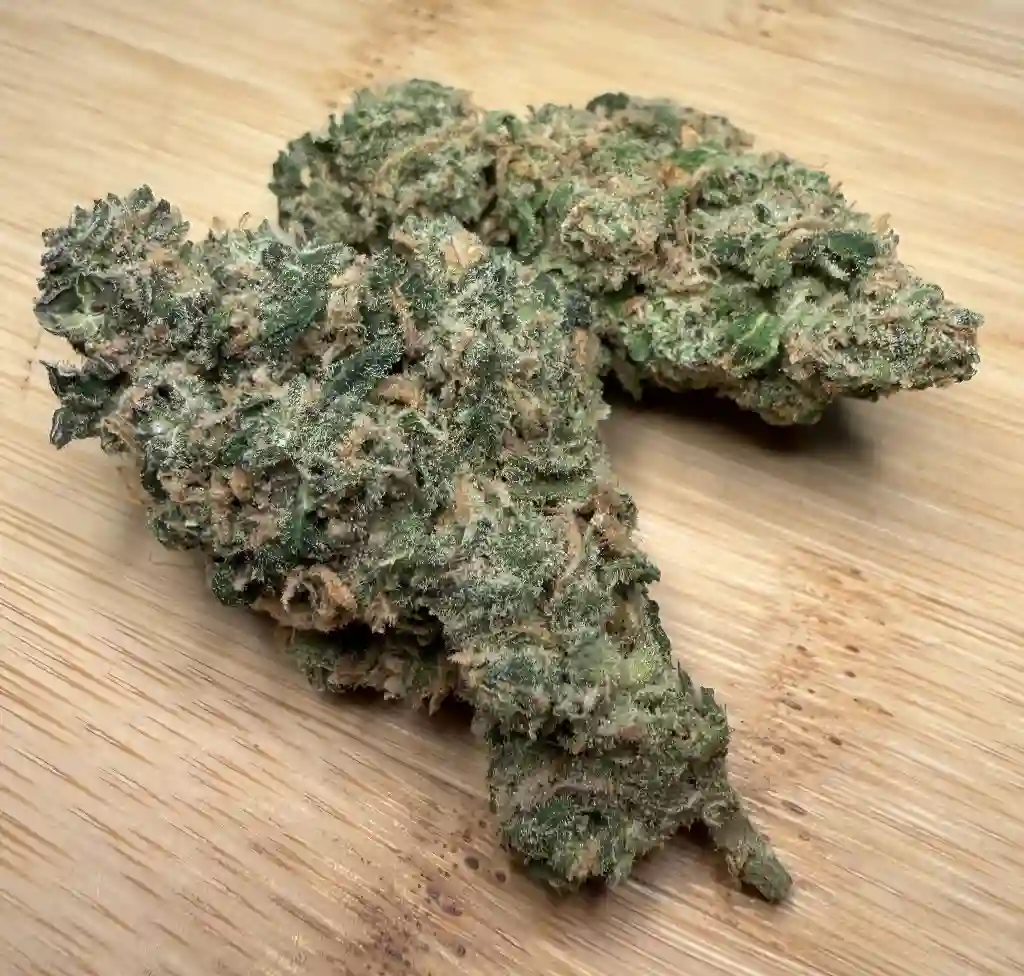 PP - Watermelon Dreamz