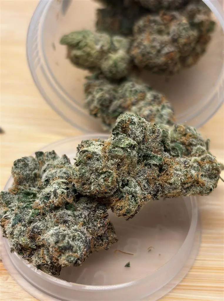 TG-Bubblegum x Lemon Cherry 