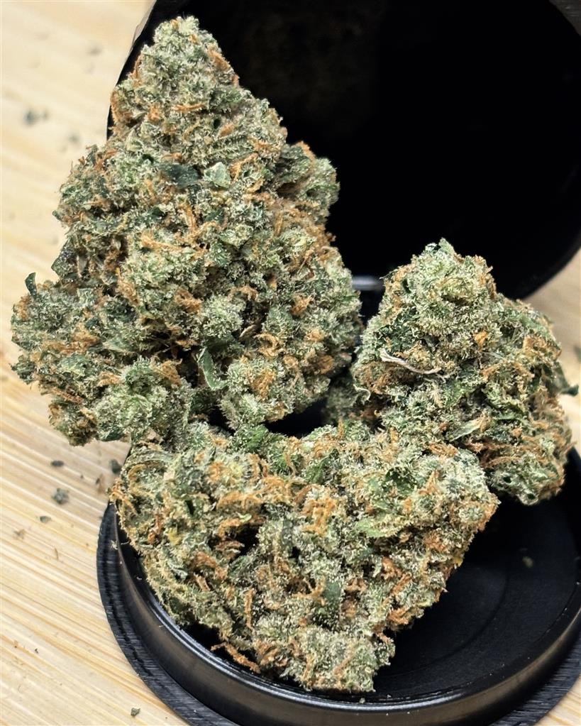 RS-Jack Herer