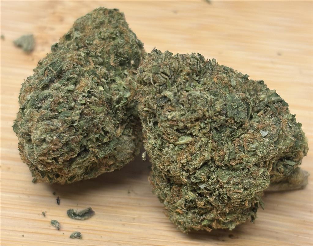 BAF-Bacio Gelato #44