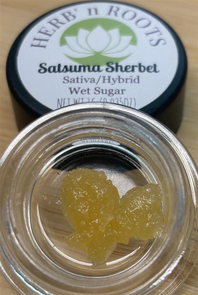 HNR-Satsuma Sherbet