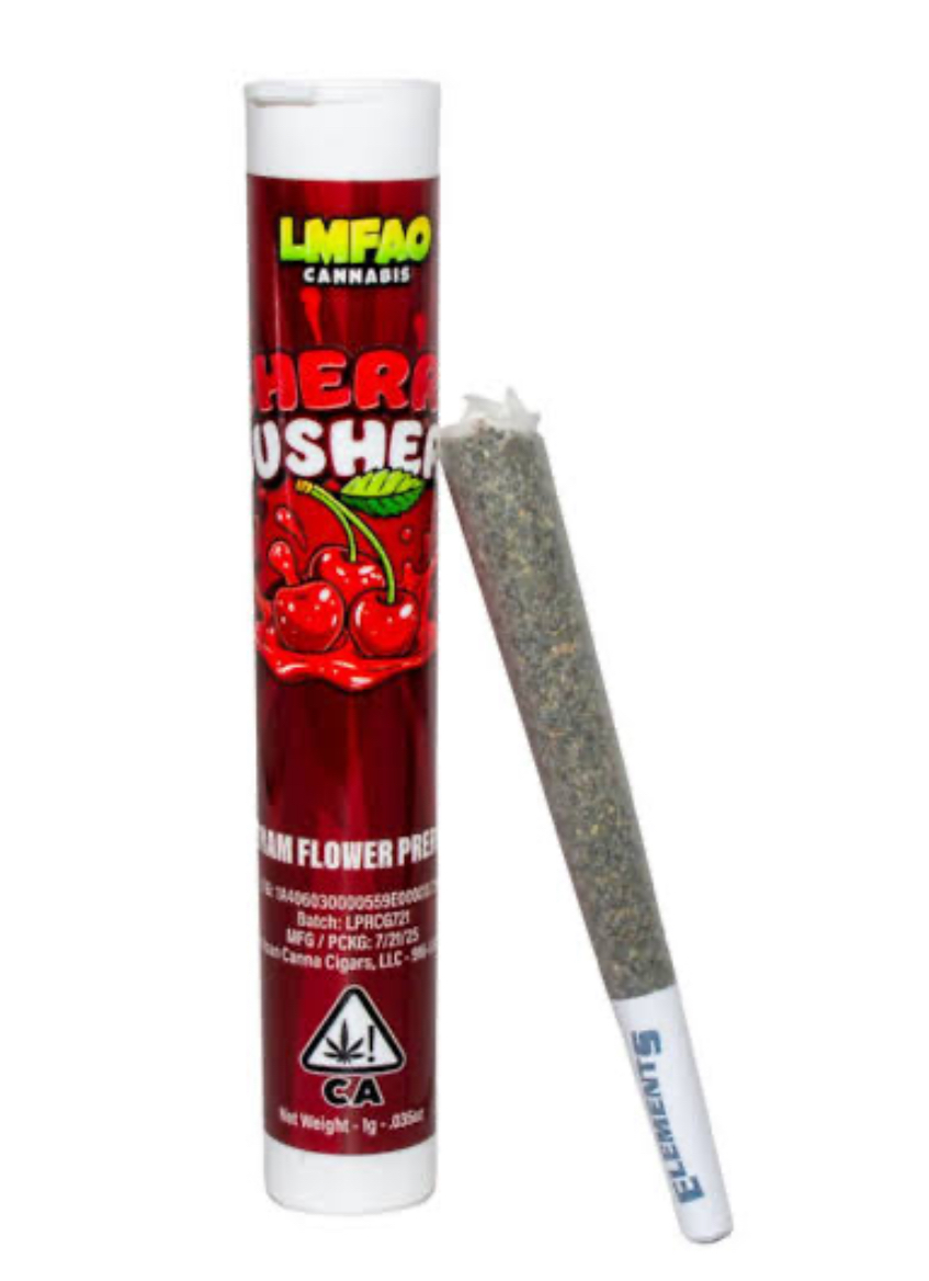 LMFAO- Cherry Gusher