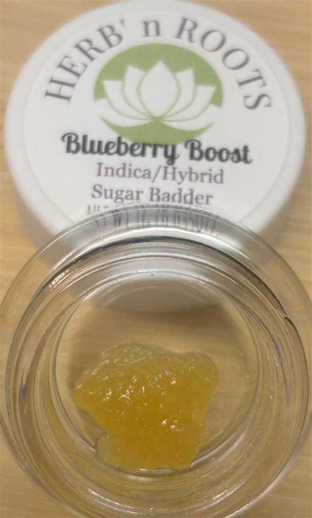 HNR-1g Blueberry Boost