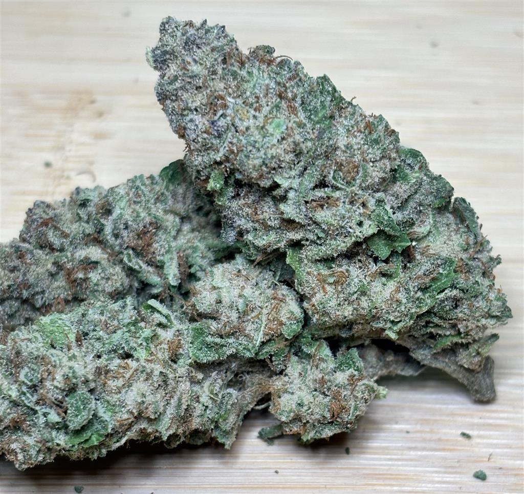 GT- Molotov Cocktail