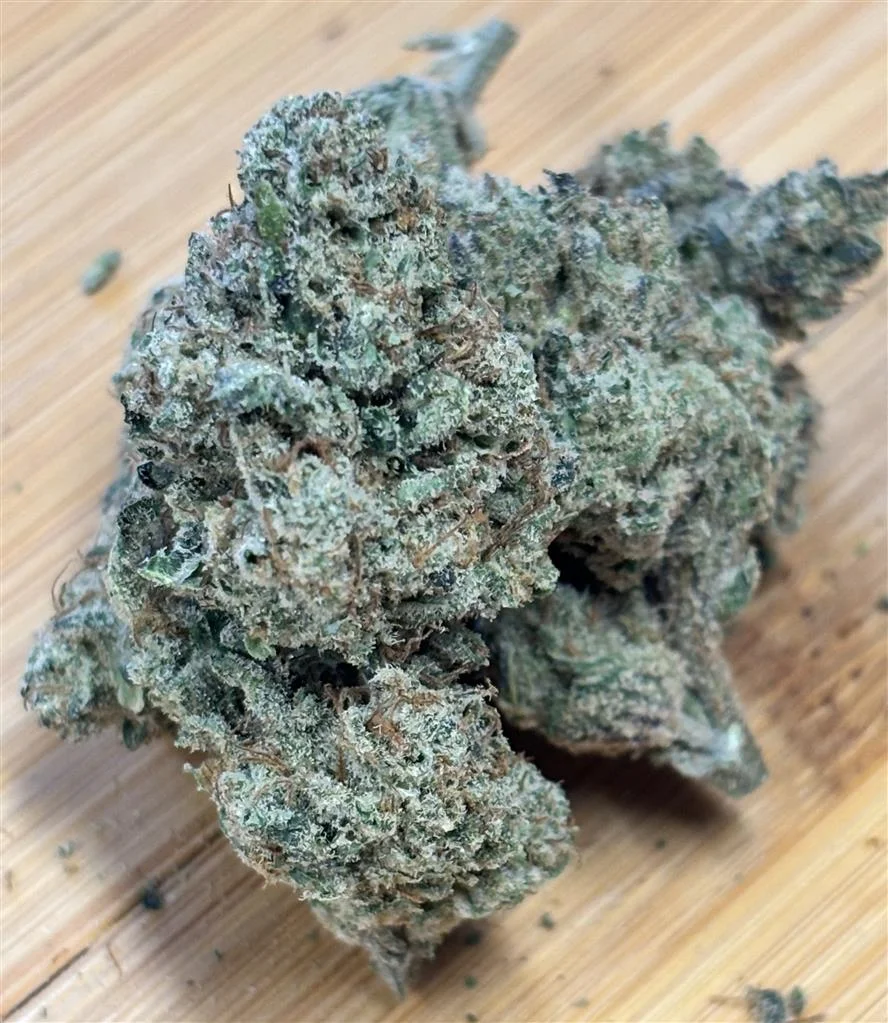 NCC-Gorilla Cake #33