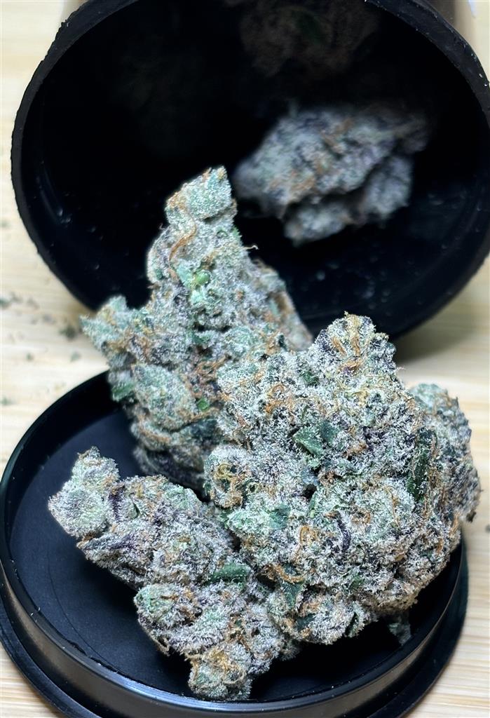 OTE- RUNTZ x GMO Cookies