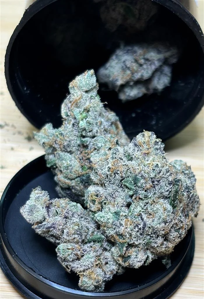 OTE- RUNTZ x GMO Cookies