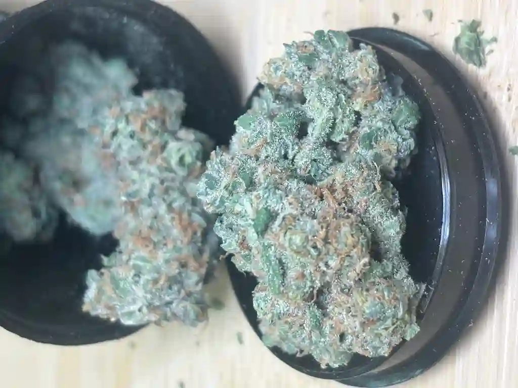 RS-Moroccan Peaches 