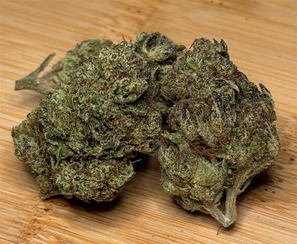 Animal Cookies