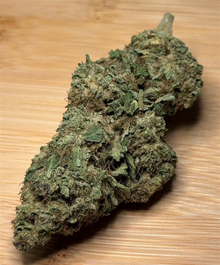 Apricot Gelato