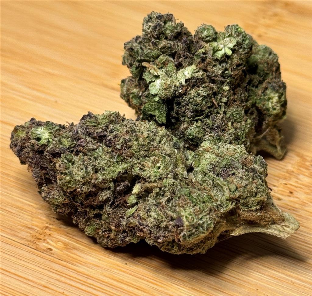 Key Lime Jack