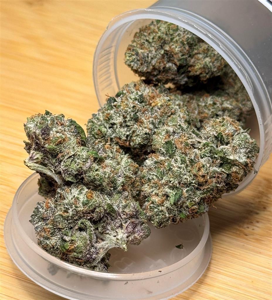 Purple Kush